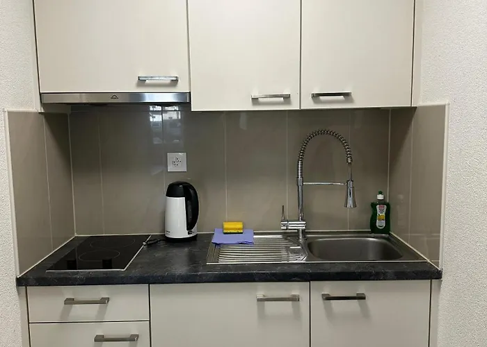 شقة فندقية العطلات سويس رينغينبرغ