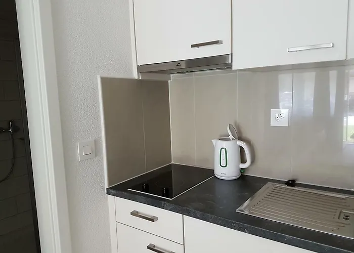 شقة فندقية العطلات سويس رينغينبرغ 3*