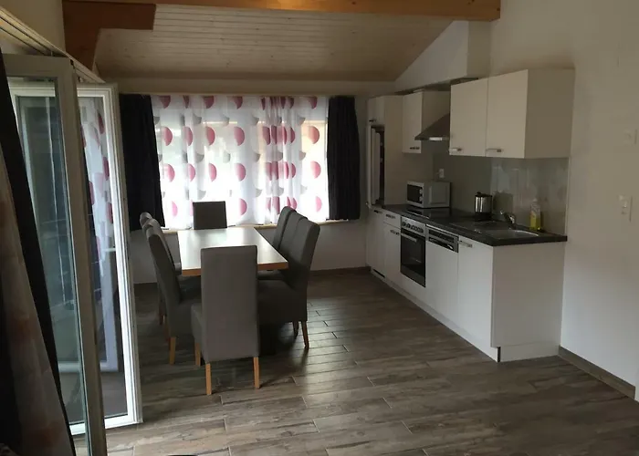 العطلات سويس رينغينبرغ 3*