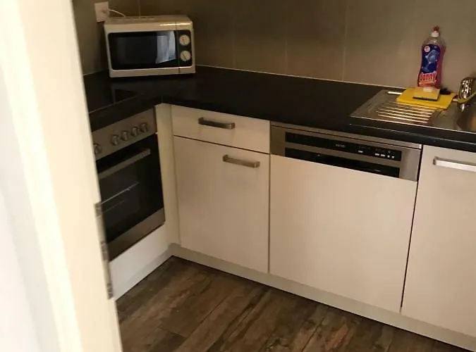 العطلات سويس رينغينبرغ شقة فندقية 3*