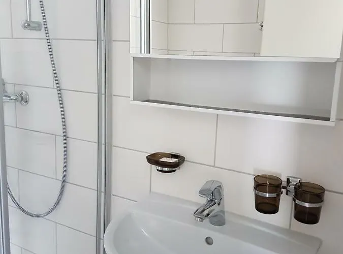 العطلات سويس رينغينبرغ