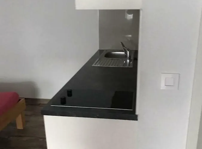 شقة فندقية العطلات سويس رينغينبرغ 3*