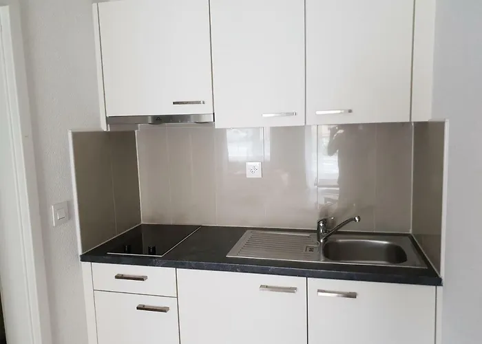 العطلات سويس رينغينبرغ 3* رينغنبرغ