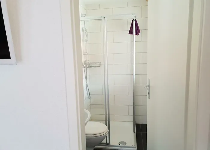 العطلات سويس رينغينبرغ 3* رينغنبرغ